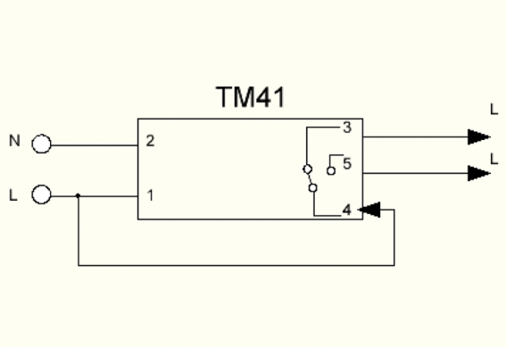 tm41 (schema)